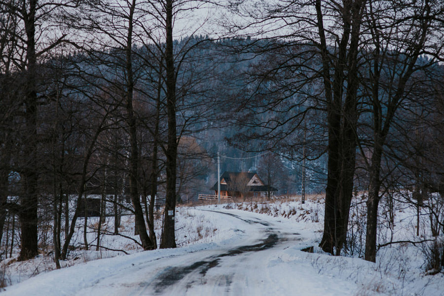 path through snowy landscape